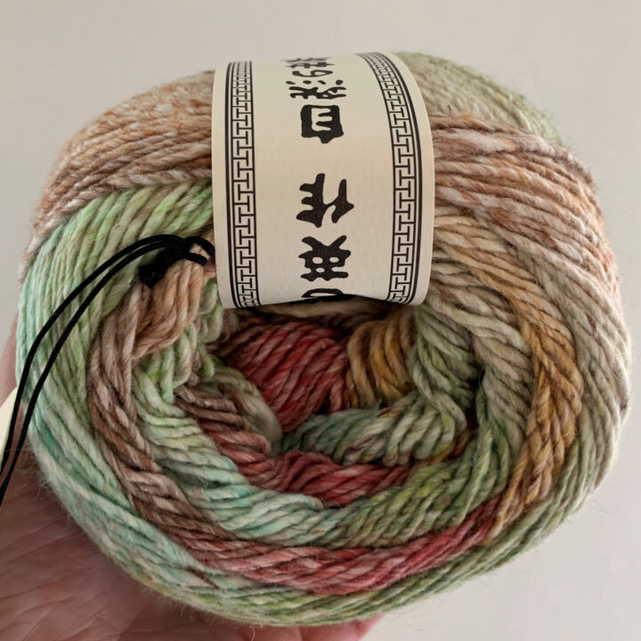 NORO-AKARI-029