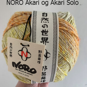 NORO Akari