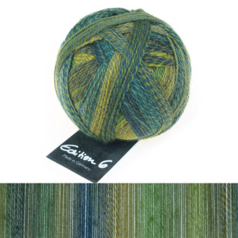 Schoppel Edition 6 - merino uld - Soil sample - 2297